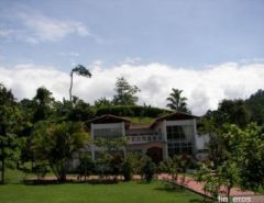 10123 - Manizales, Caldas의 핀카